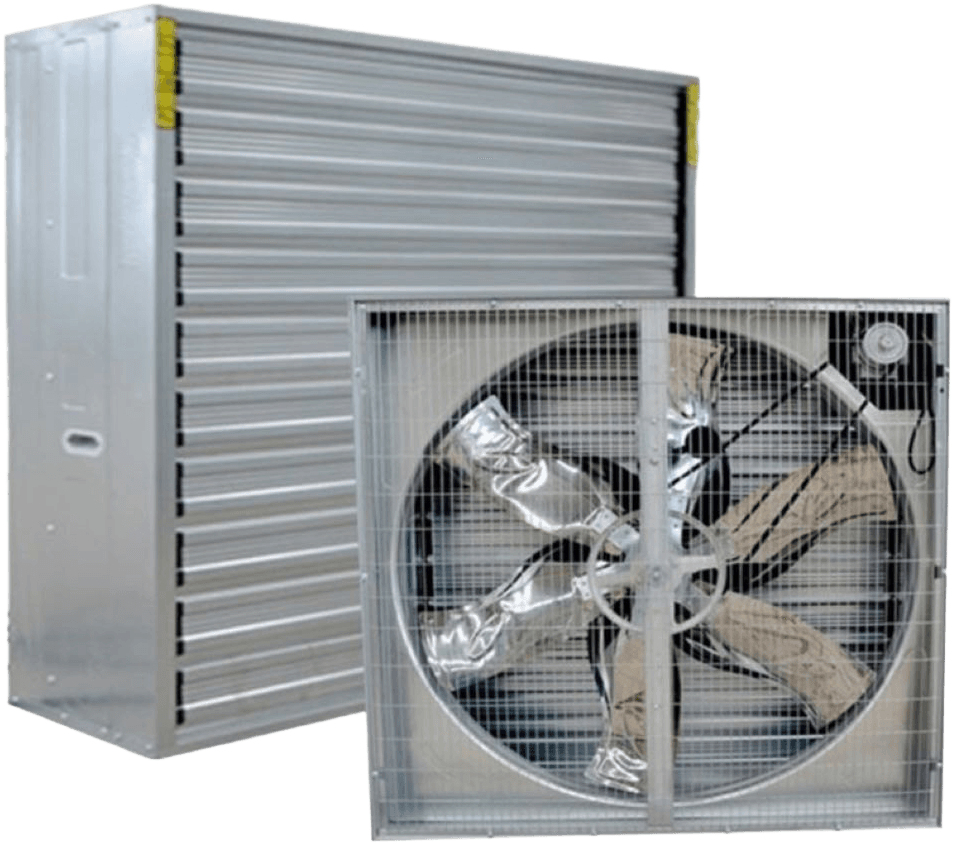 Belt Driven Wall Mount Fans